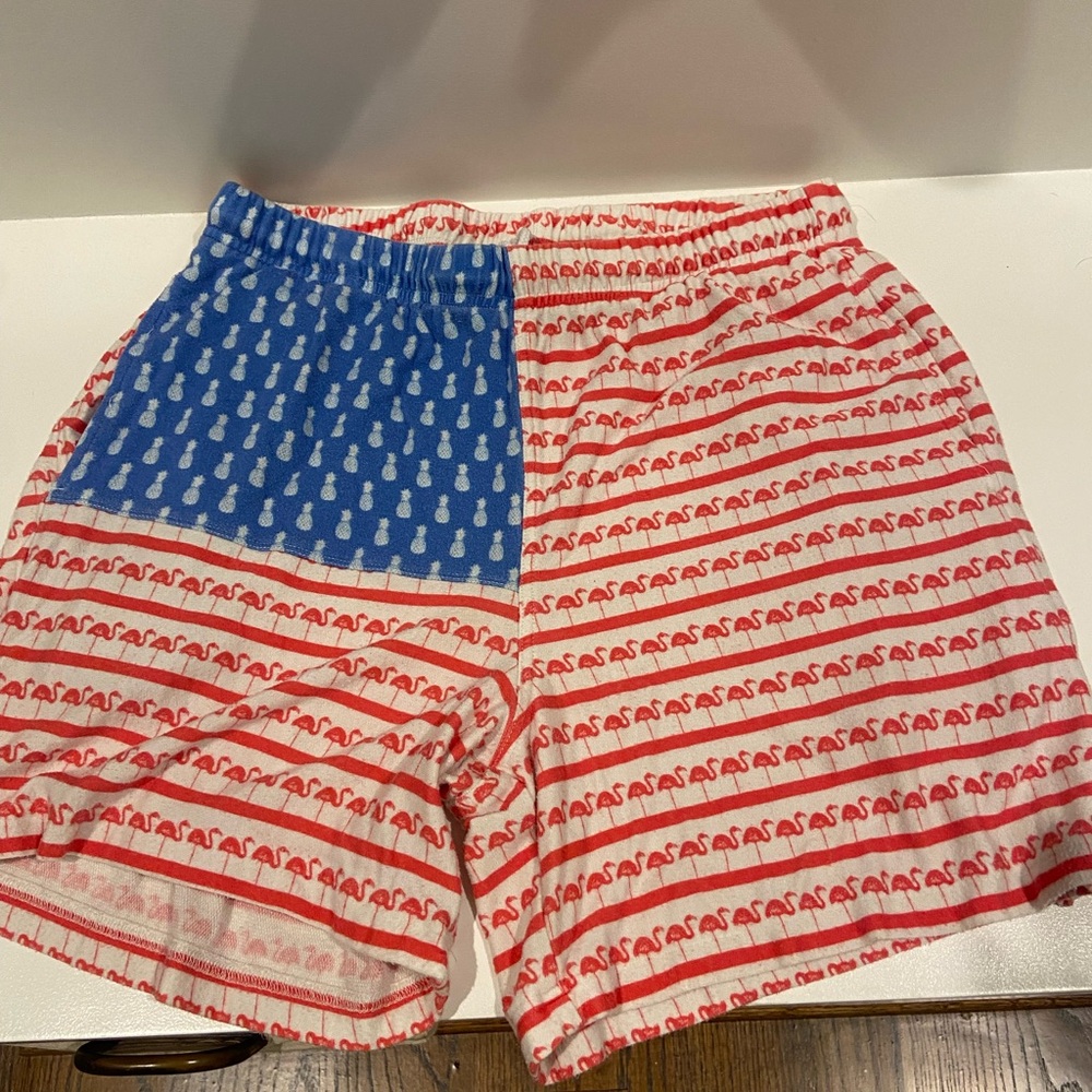 Chubbies Red and Blue Flamingo Patterned Athletic Shorts